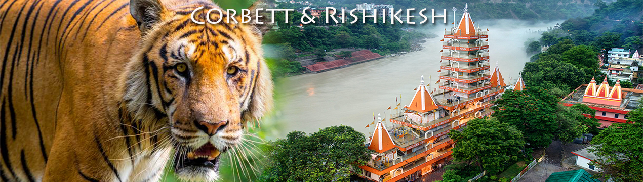 Rishikesh Jim Corbett Tour Package