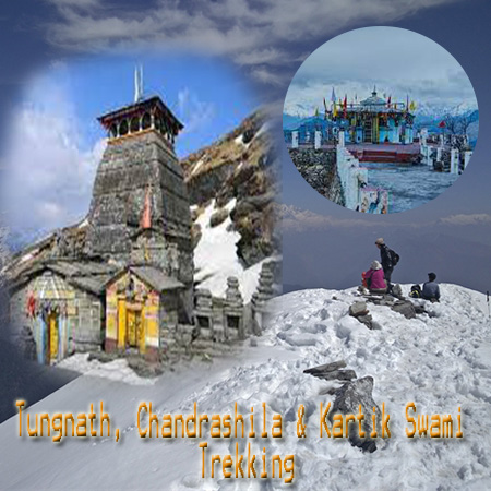 Chopta Himalayan Trekking Tour Package 