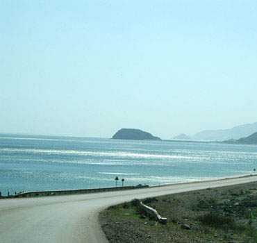 The East Coast Road