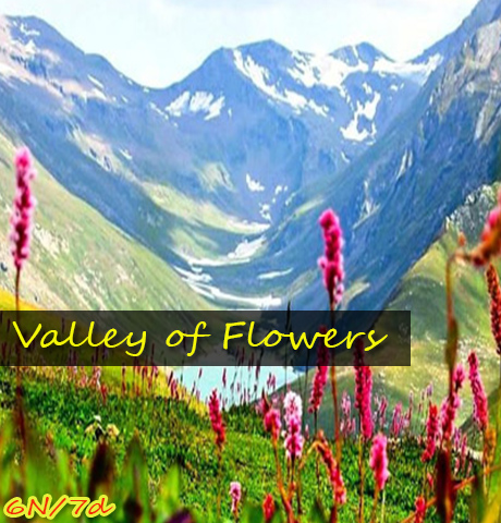 Rishikesh Valley Of Flowers Tour