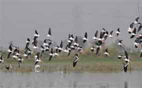 Gurugram Tour Package